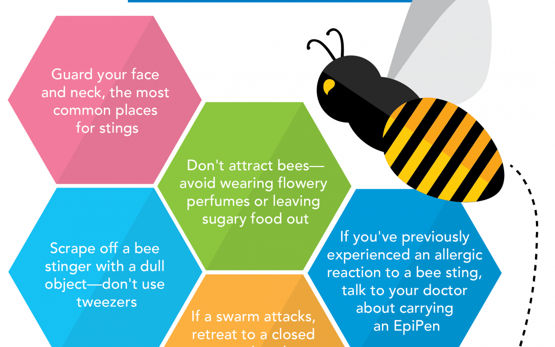 Bee Safety: 5 Steps to Prevent Stings