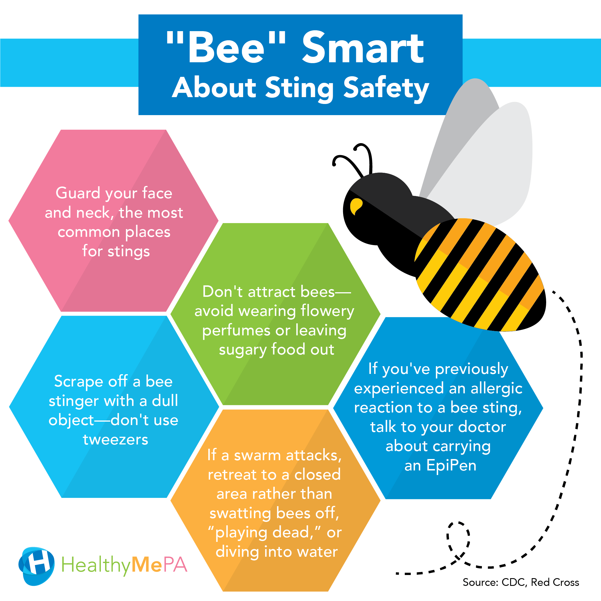 HAP-beesting-IG-01 (2)