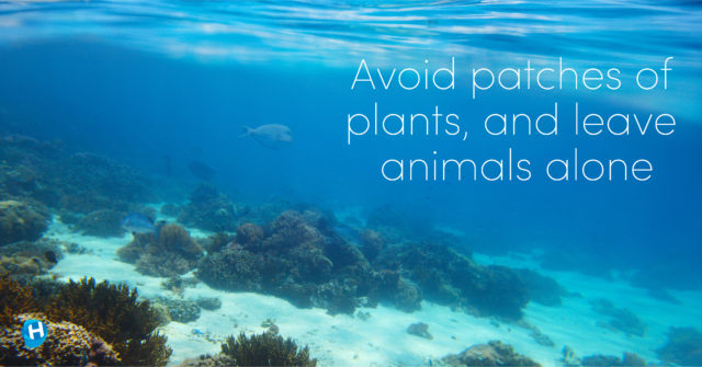 Ocean-safety
