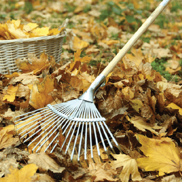 How Many Calories Do Your Favorite Fall Activities Burn?