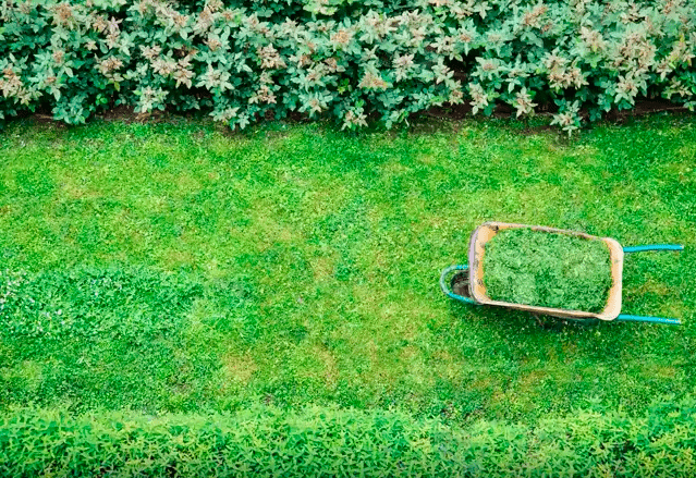 Burn Calories Outside While Doing These Chores