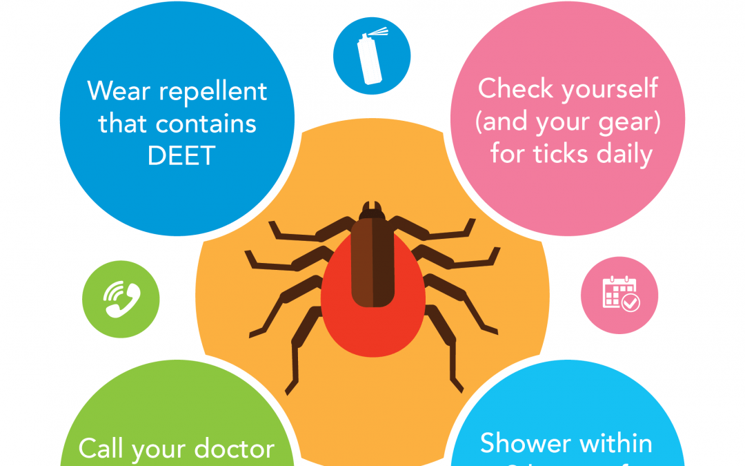 4 Ways to Prevent Lyme Disease