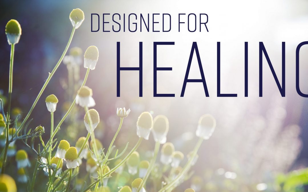 How Healing Spaces are Transforming Pennsylvania Hospitals